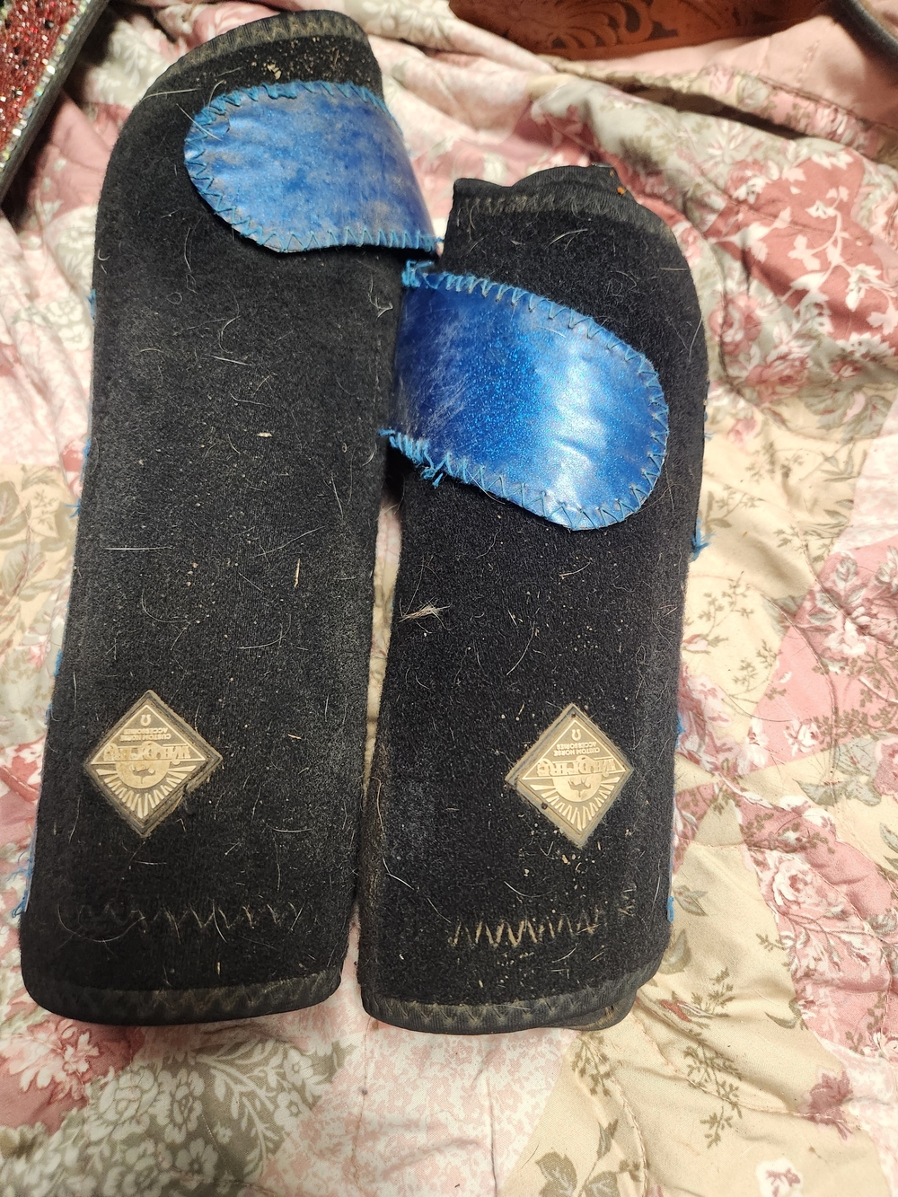 Black With Blue Accent Straps Horse Med Sports Boots